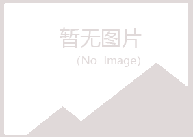 青岛黄岛斑驳能源有限公司